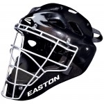 Easton Stealth SE Helmet from Cheapbats.com